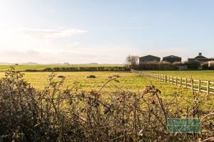 Photo 22- click for photo gallery